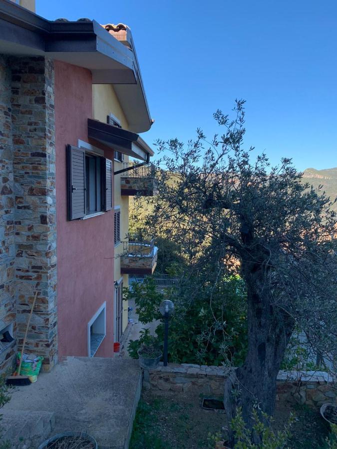 Il Vecchio Ulivo Sa Tanca Ussàssai Exterior foto