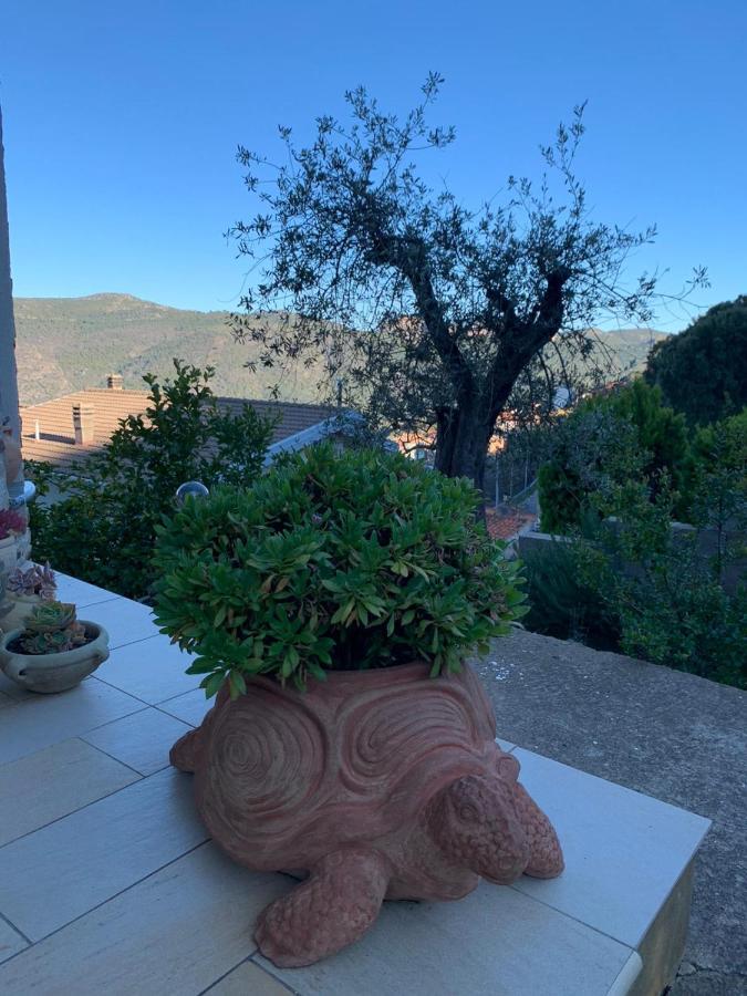 Il Vecchio Ulivo Sa Tanca Ussàssai Exterior foto