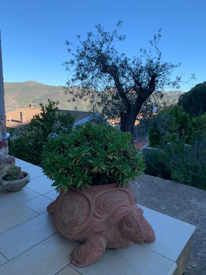 Il Vecchio Ulivo Sa Tanca Acomodação com café da manhã Ussàssai Exterior foto